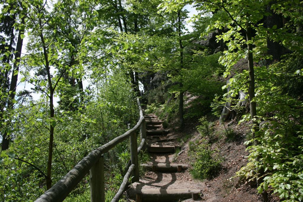 Готель Kraeuterbaude Saupsdorf Номер фото